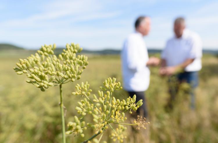 Sternekoch Gerd Windhösel trifft regionalen Lieferanten