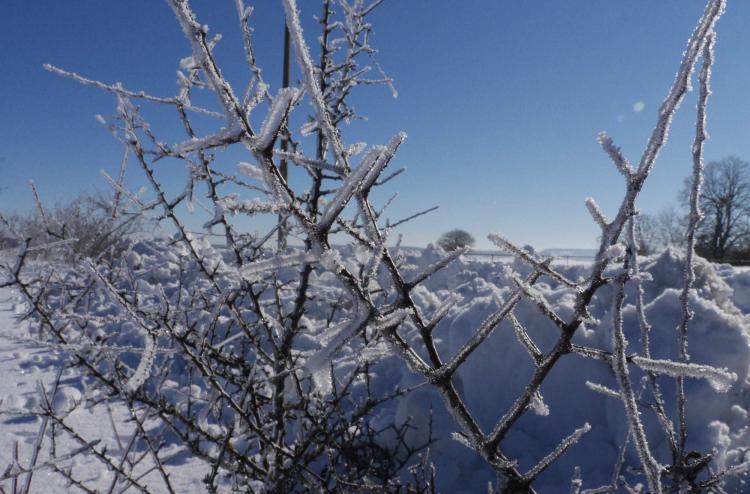 Winterspaziergang auf der Schwäbischen Alb